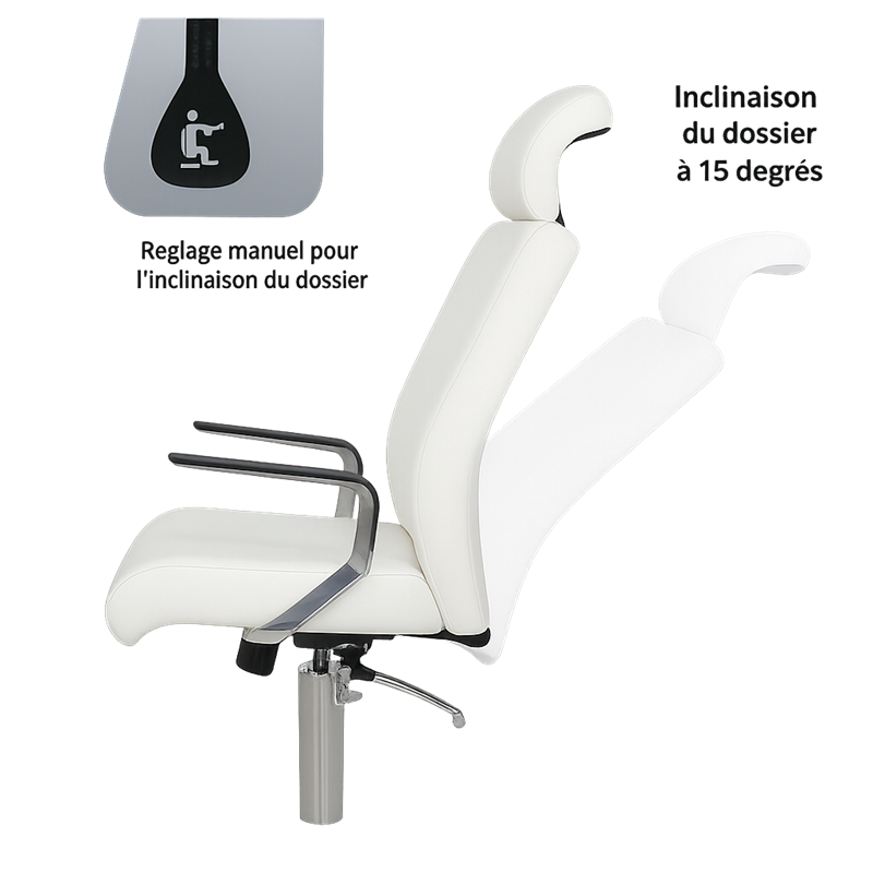 FEET Chaise de Pédicure SPA - Rotation Repose-pieds à 360 Degrés - Malys Equipements