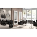 BRAID Fauteuil Coiffure - salon complet