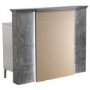 FUJI SOFT Caisse accueil