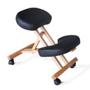 NOAH Ergonomic Medical Chair - Svart