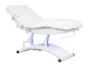 TAL Table de Massage et Soins Électrique Chauffante