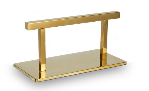 [MRP-GAN] GAN fodstøtte